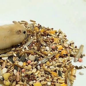 AIMAYAPET 1200ml Premium Hamster Food Mix with Seeds Grains and Mealworms Small Pet Food