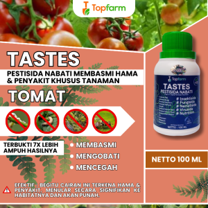 Obat Tomat Anti Busuk Daun / Obat Tomat Anti Busuk Buah / Obat Tomat Daun Keriting / Obat Semprot Hama Daun Tomat / Obat Tomat Busuk Batang
