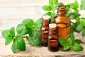 Tinh dầu bạc hà Peppermint. 