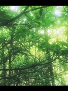 Mens Modal Thermal Underwear Set Thin Large Size Warm Base Layer Shirt Long Sleeve Long Pants Comfortable Breathable Innerwear