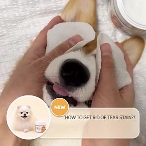 Pure Eye Tear Stain Remover Pad 70pcs Ear & Eye for Dogs and Cats