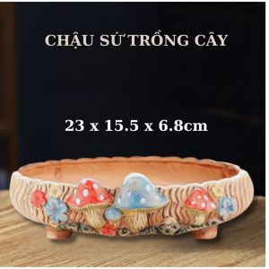 Chậu Trồng Cây Gia Đình Nấm LASE GARDEN Thích Hợp Trồng Sen Đá Xương Rồng Hoặc Cây Văn Phòng