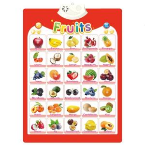 Kids Interactive Educational Wall Chart Talking Wall Chart Toy for Toddler Early Learning Water Resistant and Safe Use