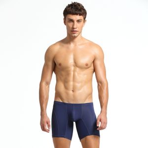 Lifestyle : Ice Silk Sports Boxer Tights (Seobean SB10202)