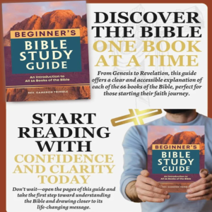 Beginners Bible Study Guide Bible Summary Guide Study Planner Daily Devotional Introduction To All 66 Books Of The Bible