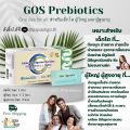 Papa Oligo GOS Prebiotic Powder ผงไฟเบอร์ GOS พรีไบโอติก ปรับสมดุลเชื้อโพรไบโอติก จุลินทรีดีในลำไส้ ให้ถ่ายคล่อง เสริมภูมิ ลดลำไส้แปรปรวน กรดไหลย้อน. 