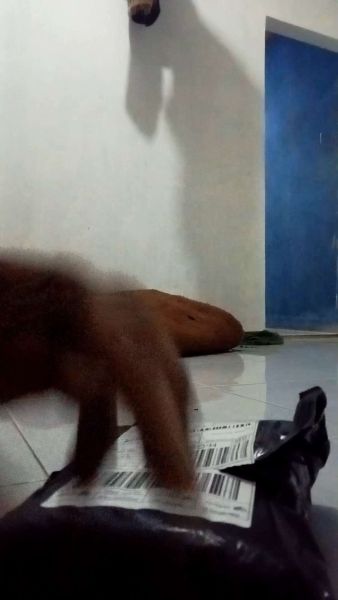Buyer review video 3