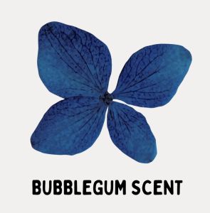 FABCON  KIT 20 LITERS YIELD PREMIER WASH