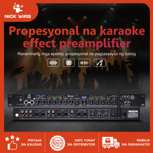 DSP9000+ professional introductory digital hybrid effects KTV HOME professional front stage effect audio color USB/SD interface 2-channel interface