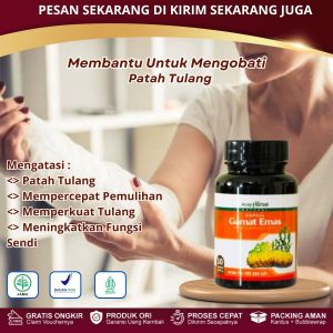 Gamat Emas Kapsul - Obat Patah Tulang Tulang Retak Nutrisi Penyambung Tulang Kalsium Tulang