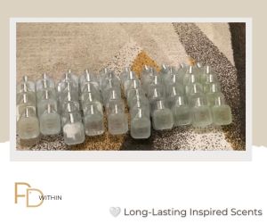 PD Within Inspired Scents for Men 50ML Ocean Breeze