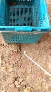 ตะขอสแตนเลส ปลายแหลม