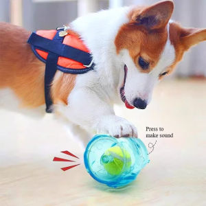 Rubber Dog Toys TPR Interactive Training Dog Squeaky Toy Bite Resistant Molar Toy for Small Large Dogs Teeth Cleaning