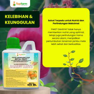 Pupuk Topfarm / Pestisida Topfarm / Pupuk Buah Jambu Mete Berbuah Lebat / Pupuk Buah Jambu Mete Super Lebat / Pupuk Khusus Buah Jambu Mete / Obat Semprot Hama Buah Jambu Mete / Obat Pembasmi Hama Pohon Jambu Mete / Obat Hama Ulat Semut Pohon Jambu Mete