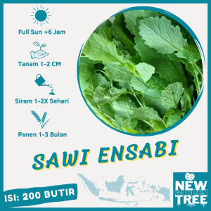 (200 BUTIR) BENIH SAWI ENSABI DAYAK KUALITAS PREMIUM