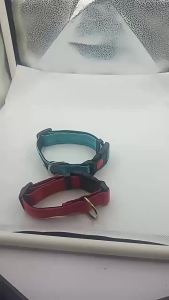 2026 Hot Sale [ Shipped from China ] Reflective dog collar with adjustable nyloncollar andleash suitable for small and medium-sized dogs glow-in-the-dark B3