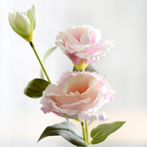 (3 Kuntum) Bunga Eustoma 3 Bunga Artificial Flower Bunga Dekorasi