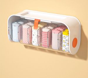 Wall Mounted Storage Box Transparent With Cover Wardrobe Organizers Compartment Bra Underwear Panties Socks 内衣内裤袜子 收納盒