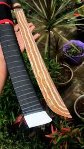 SULANGKAR ASLI BANTEN 40 CM