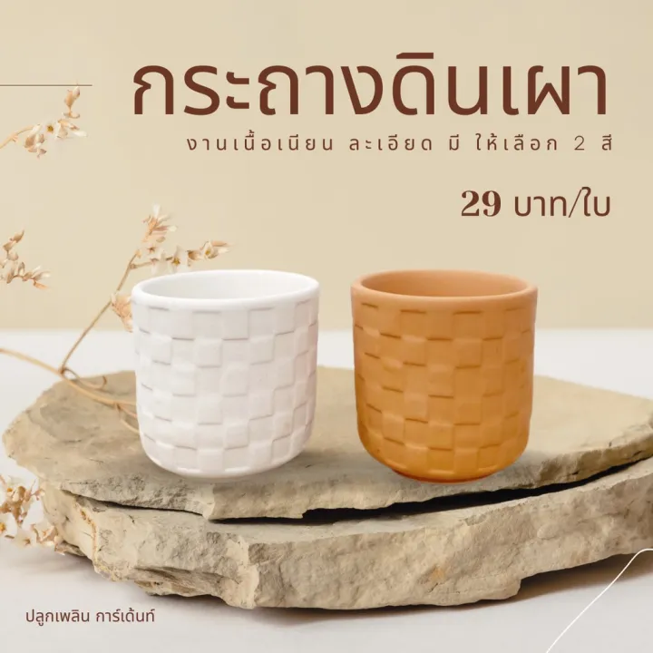 กระถางดินเผาเนื้อเนียน 23 ลาย สำหรับแคคตัส ไม้โขด