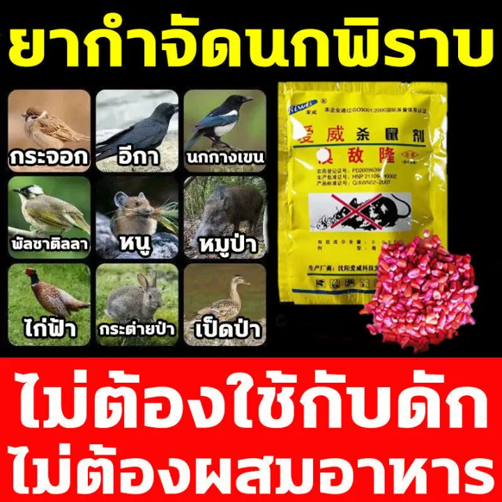 %E0%B8%A1%E0%B8%B2%E0%B9%81%E0%B8%A3%E0%B8%87%20%E0%B8%81%E0%B8%B3%E0%B8%88%E0%B8%B1%E0%B8%94%E0%B8%99%E0%B8%81%20%E0%B8%A2%E0%B8%B2%E0%B9%80%E0%B8%9A%E0%B8%B7%E0%B9%88%E0%B8%AD%E0%B8%99%E0%B8%81%E0%B8%9E%E0%B8%B4%E0%B8%A3%E0%B8%B2%E0%B8%9A%E0%B8%81%E0%B8%B3%E0%B8%88%E0%B8%B1%E0%B8%94%E0%B8%9E%E0%B8%B4%E0%B8%A3%E0%B8%B2%E0%B8%9A%E0%B9%81%E0%B8%A5%E0%B8%B0%E0%B8%99%E0%B8%81%E0%B8%97%E0%B8%B8%E0%B8%81%E0%B8%8A%E0%B8%99%E0%B8%B4%E0%B8%94%F0%9F%94%A5%E0%B9%80%E0%B8%AB%E0%B8%A2%E0%B8%B7%E0%B9%88%E0%B8%AD%E0%B8%81%E0%B8%B3%E0%B8%88%E0%B8%B1%E0%B8%94%E0%B8%99%E0%B8%81%E0%B8%9E%E0%B8%B4%E0%B8%A3%E0%B8%B2%E0%B8%9A%205%E0%B8%8B%E0%B8%AD%E0%B8%87%20%E0%B8%A2%E0%B8%B2%E0%B8%86%E0%B9%88%E0%B8%B2%E0%B8%99%E0%B8%81%E0%B8%9E%E0%B8%B4%E0%B8%A3%E0%B8%B2%E0%B8%9A%20%E0%B8%97%E0%B8%B3%E0%B8%A5%E0%B8%B2%E0%B8%A2%E0%B8%AD%E0%B8%A7%E0%B8%B1%E0%B8%A2%E0%B8%A7%E0%B8%B0%E0%B8%A0%E0%B8%B2%E0%B8%A2%E0%B9%83%E0%B8%99%E0%B8%95%E0%B8%B2%E0%B8%A2%E0%B9%83%E0%B8%99%201%E0%B8%8A%E0%B8%A1.%20%E0%B8%A2%E0%B8%B2%E0%B9%80%E0%B8%9A%E0%B8%B7%E0%B9%88%E0%B8%AD%E0%B8%99%E0%B8%81%20%E0%B8%9E%E0%B8%B4%E0%B8%A3%E0%B8%B2%E0%B8%9A%20%E0%B9%81%E0%B8%AB%E0%B9%89%E0%B8%87%E0%B9%80%E0%B8%A3%E0%B9%87%E0%B8%A7%E0%B9%81%E0%B8%A5%E0%B8%B0%E0%B9%84%E0%B8%A1%E0%B9%88%E0%B8%A1%E0%B8%B5%E0%B8%81%E0%B8%A5%E0%B8%B4%E0%B9%88%E0%B8%99%20%E0%B8%81%E0%B8%B4%E0%B8%99%E0%B8%87%E0%B9%88%E0%B8%B2%E0%B8%A2%E0%B8%95%E0%B8%B2%E0%B8%A2%E0%B9%84%E0%B8%A7%20%E0%B8%8A%E0%B8%99%E0%B8%B4%E0%B8%94%E0%B9%84%E0%B8%A1%E0%B9%88%E0%B8%95%E0%B9%89%E0%B8%AD%E0%B8%87%E0%B8%9C%E0%B8%AA%E0%B8%A1%E0%B8%AD%E0%B8%B2%E0%B8%AB%E0%B8%B2%E0%B8%A3%20%E0%B8%A2%E0%B8%B2%E0%B9%80%E0%B8%9A%E0%B8%B7%E0%B9%88%E0%B8%AD%E0%B8%99%E0%B8%81%20%E0%B9%80%E0%B8%AB%E0%B9%87%E0%B8%99%E0%B8%9C%E0%B8%A5%E0%B8%8A%E0%B8%B1%E0%B8%A7%E0%B8%A3%E0%B9%8C%20100%25%20%E0%B9%84%E0%B8%A5%E0%B9%88%E0%B8%99%E0%B8%81%E0%B8%9E%E0%B8%B4%E0%B8%A3%E0%B8%B2%E0%B8%9A%E0%B8%96%E0%B8%B2%E0%B8%A7%E0%B8%A3%20%E0%B8%A2%E0%B8%B2%E0%B9%84%E0%B8%A5%E0%B9%88%E0%B8%99%E0%B8%81%E0%B8%9E%E0%B8%B4%E0%B8%A3%E0%B8%B2%E0%B8%9A%20%E0%B9%84%E0%B8%A1%E0%B9%88%E0%B8%A1%E0%B8%B5%E0%B8%99%E0%B8%81%E0%B8%A3%E0%B8%9A%E0%B8%81%E0%B8%A7%E0%B8%99%20-%20Image%204