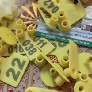 Thẻ gắn tai heo cho bò dê