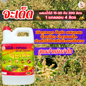 จะเด็ด ลำไย อาหารพืชสูตรเข้มข้น 4 พลัง ขนาด 4 ลิตร