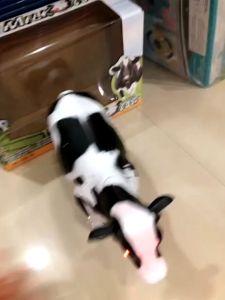 Mainan Sapi bisa berjalan dan suara