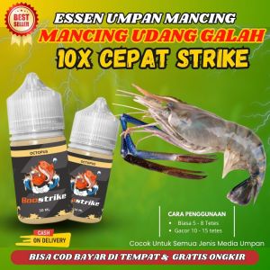 Essen Umpan Mancing Lobster Dan Udang Galah Liar Air Tawar Sungai Danau Media Umpan Udang Keci | Essen Boostrike