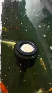 Hút Mặt Hồ Koi Koimaster S-180 Phi 60 - Skimmer Xoay Tự Động Hút Sạch Váng Bề Mặt