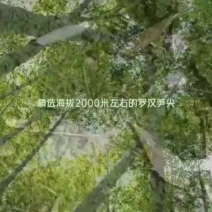 馋嘴妹泡椒笋尖竹笋小包装脆笋笋条酸笋网红休闲零食批发一整箱