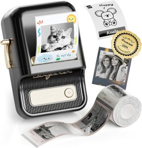 NIIMBOT B21 B21S B21PRO Bluetooth Thermal Label Printer Ink Free Mini Portable Thermal Printer Labels Maker with free Tape Label Sticker Inkless for Clothing Jewelry Tag Supermarket Retail Store Home Labeling Barcodes Price Name Printing - VMI Direct