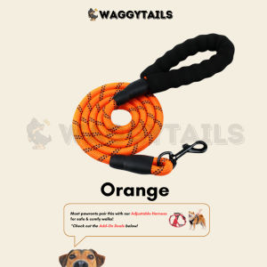 [SG] Strong Dog Leash Rope Reflective Tangle Free with Comfortable Padded Handle