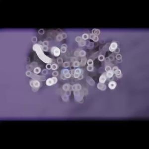 2025 Cross New Style Woven Watch Strap Bracelet for Women Light Luxury Niche Exquisite High-End Feel Elegant Versatile Accessory