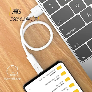 Micro USB Female to Type C Male Conversion Adapter Converters Support Charging & 30Mbps Data Transfer White/Black