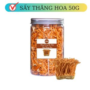 Đông trùng hạ thảo sấy thăng hoa loại vụn 50g - Cây Nấm Việt
