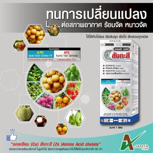 สังกะสี ปุ๋ยน้ำทางใบ แก้ปัญหาใบแก้ว ใบลาย ใบเหลือง ป้องกันต้นพืชแคระแกร็น ต้านหนาวจัด ทนร้อนจัด ขั้วเหนียว (1 ลิตร)