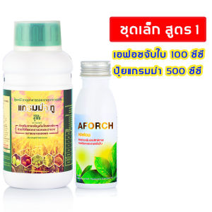 เอฟอช แกรมม่าทู ปุ๋ยน้ำ ใบเขียวเข้ม แตกใบ เร่งดอก เร่งผล ต้นสมบูรณ์ สะสมอาหาร ชุดเล็ก สารจับใบ 100 ซีซี+ แกรมม่าทู 500 ซีซี ของแท้ 100%