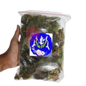Sphagnum Moss Hidup Premium (250 gr)
