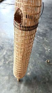 ไซงาเดี่ยว ของมงคล ชึ้นเสาเอก