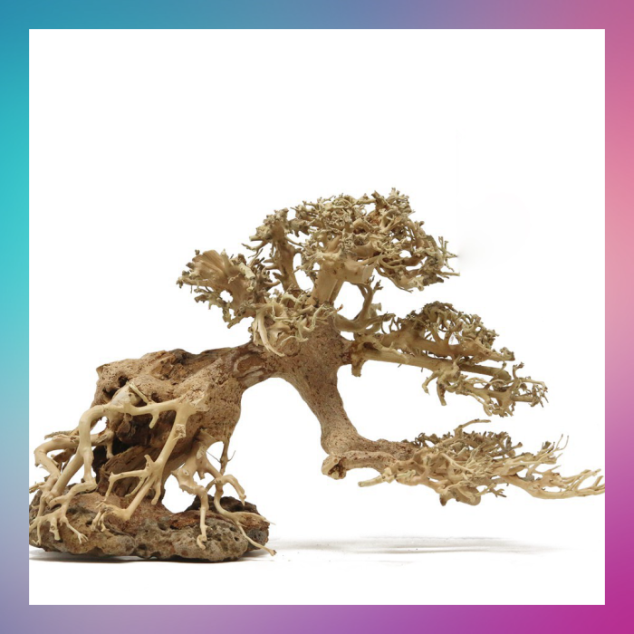 Lũa bonsai mini cho bể cá thủy sinh 25x20 - [Xưởng ts online37], cam kết hàng đúng mô tả, chất lượng đảm bảo, đa dạng các mặt hàng đáp ứng nhu cầu của người sử dụng