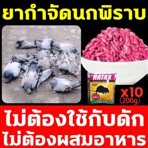 กำจัดพิราบและนกทุกชนิด ยาเบื่อนกพิราบ ยาฆ่านกพิราบ 500g ทำลายอวัยวะภายในตายใน 1วัน แห้งเร็วและไม่มีกลิ่น ยากำจัดนกพิราบ ตายแห้งไม่เหม็น กินง่ายตายไว เหยื่อกำจัดนกพิราบ กำจำนกทั่วไป นกพิราบ นกกระจอก นกกระจิบ นกขนาดเล็ก ที่มาทำลานข้าวของ