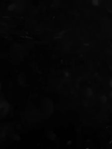 Traditional Flower Arm Tattoo Sticker for Men and Women Waterproof Long-lasting Arm Realistic Tattoo Herbal Semi-permanent Geometric Black and White Fantasy