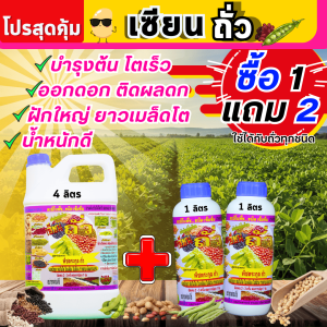 เซียนถั่วโปรซื้อ 1 แกลอน 4 ลิตร แถมฟรี เซียนถั่ว 1 ลิตร 2 ขวด บำรุงต้นโตเร็ว ออกดอกติดผลดกก ฝักใหญ่ ยาว เมล็ดโต น้ำหนักดี