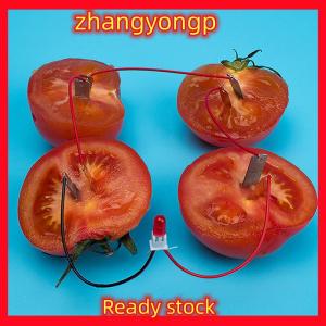 [ZY] Legend 1 bộ trẻ em năng lượng sinh học khoa học Kit khoai tây trái cây cung cấp điện thí nghiệm