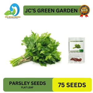 VALUE PACK (75 SEEDS) FLAT LEAF PARSLEY/HERBS/FOR PLANTING