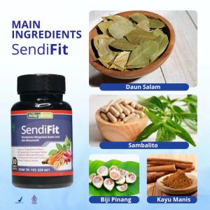 Obat Sakit Pinggang Nyeri Sendi Saraf Kejepit Nyeri Otot Badan Kaku Pegal Linu Sendifit Herbal Asli