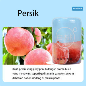 Pengharum Ruangan Mobil Kamar Mandi Penwangi Lemari Pakaian Kamar Tidur Fragrance Parfum Mobil Murah Import