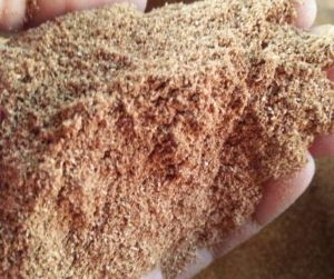 TERMURAH BUBUK BIJI DAN CANGKANG MAHONI MURNI 1 KG