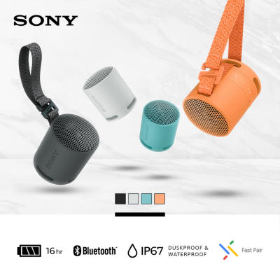 Sony SRS-XB100 Extra Bass Portable Speaker